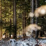 Le Gemme - Dolomites Escape Dosoledo