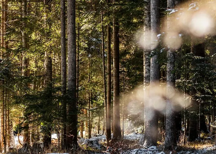 Le Gemme - Dolomites Escape Dosoledo