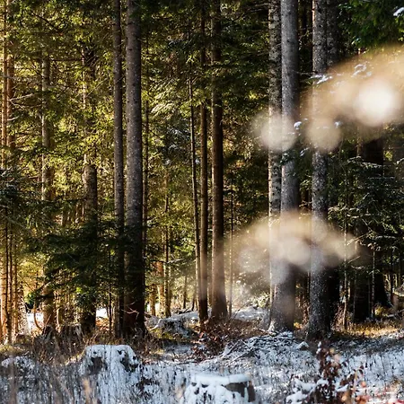 Le Gemme - Dolomites Escape Dosoledo